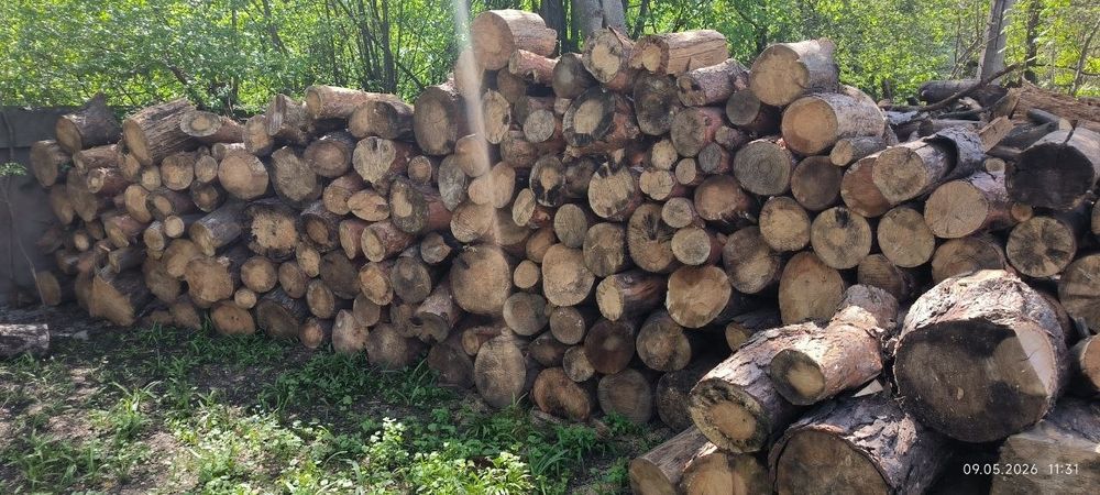продам дрова сосна
