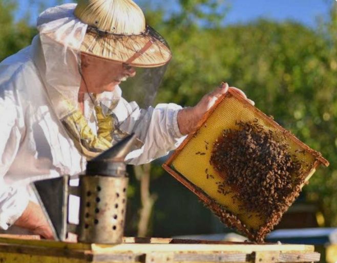 Приму в дар пасеку.