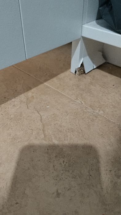 Roupeiro com espelho.