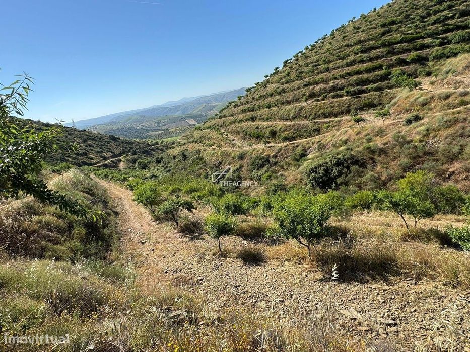 Exploração Agrícola Sustentável com 17ha de Amendoal Certificado – Inf