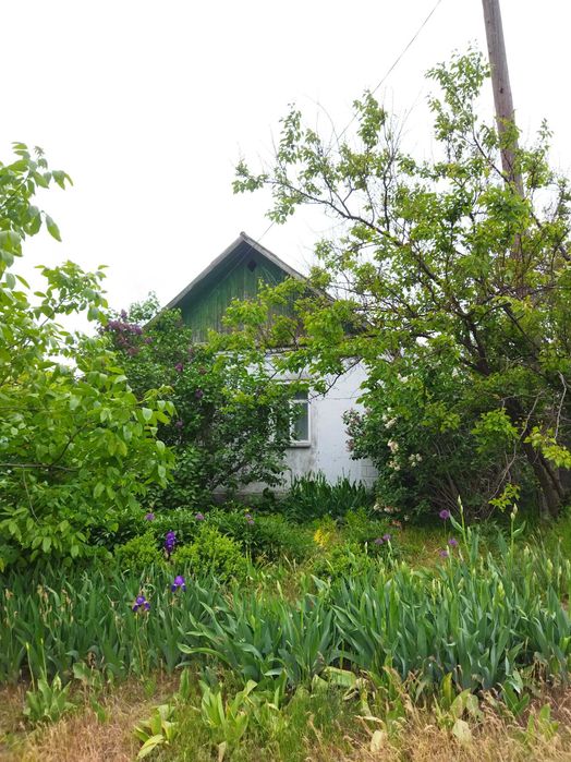 Будинок в м. Миколаєві (Корабельний район)