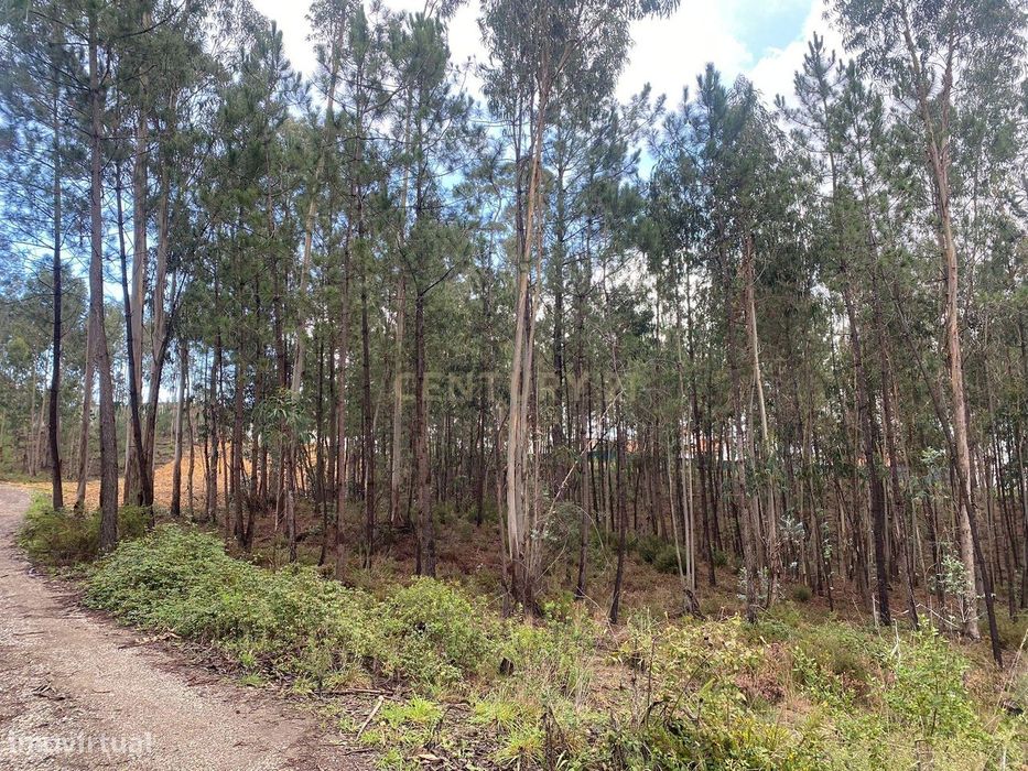 Terreno com área de 800m2