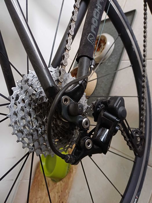 Optima bike Specialized