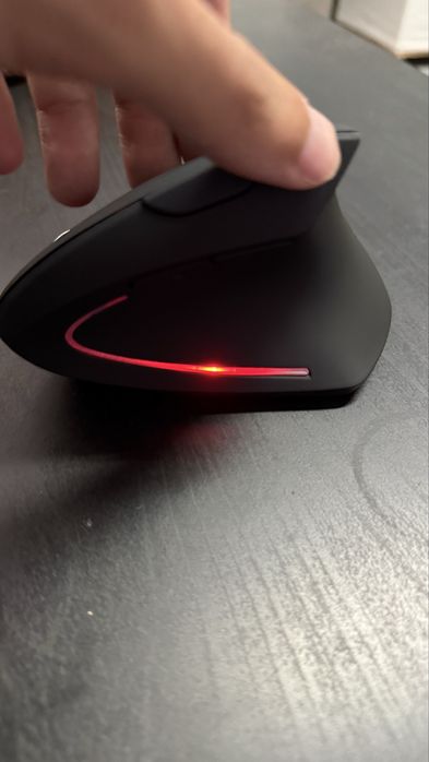 Rato/mouse ergonomico