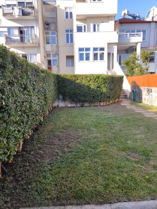 André Pinto Serviços de Jardinagem