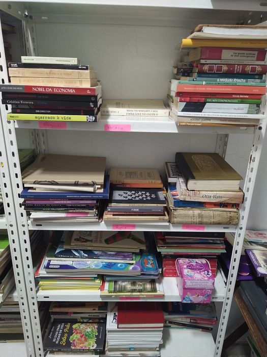 Lote de livros varias temáticas