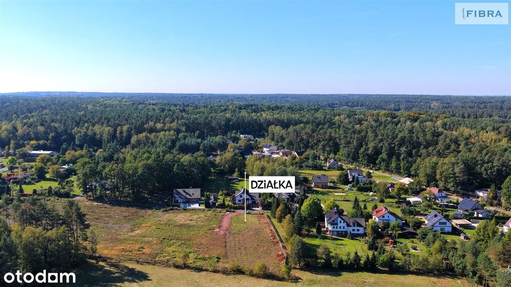 Tam, gdzie śpiewają ptaki