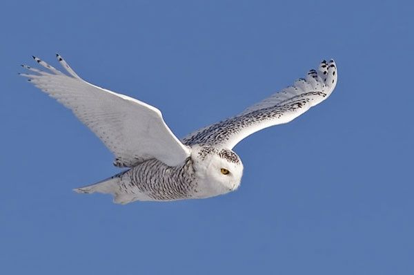 Korepetycje Matematyka, Chemia, Fizyka, Matura, Poprawki, Egzaminy