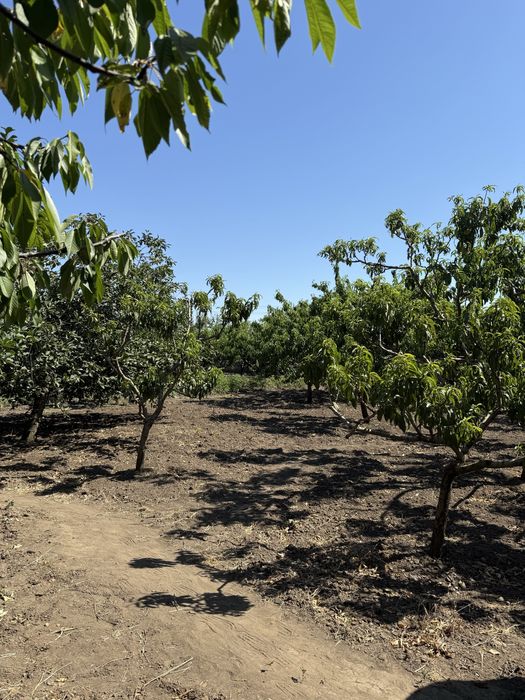 Продается дом с. Троицкое