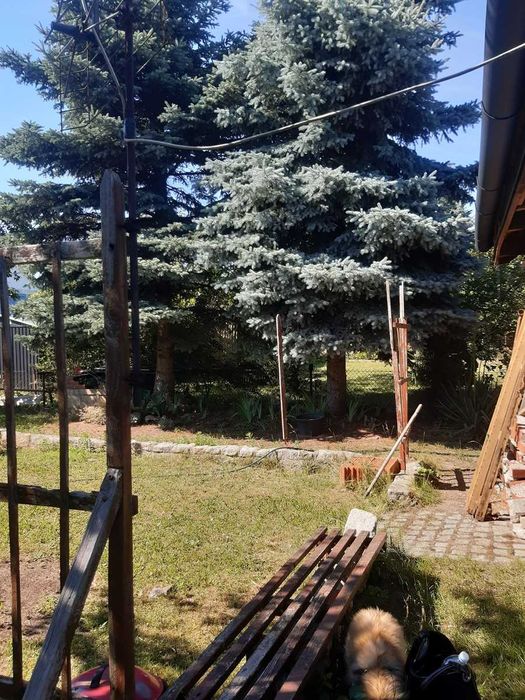 Sprzedam działkę w Grzybianach koło jeziora