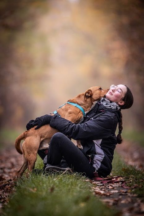 Młody, zwariowany, oddany i kochający amstaff w schronisku. Supet pies