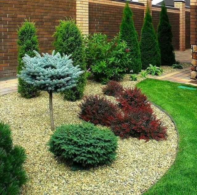 Топіарна стрижка.Нівакі.Скарифікація