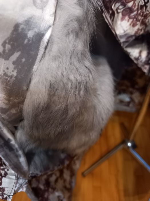 Жіноче зимове пальто