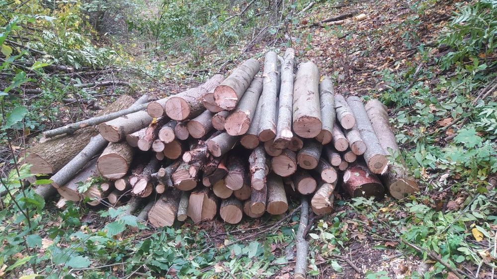 Продам дрова твердої породи . Дуб , Ясен