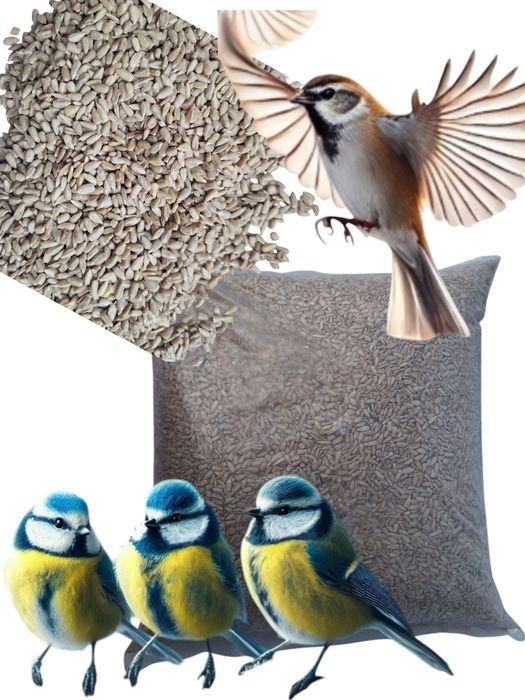 Słonecznik łuskany 5 kg Gratis 3.kolb tłuszczowych