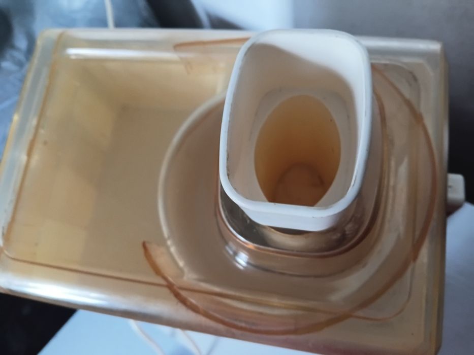 Єл соковижималка Росток