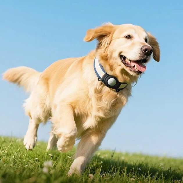 Розумний Брелок Hoco E91C для домашніх тварин в комплекті з кріпленням