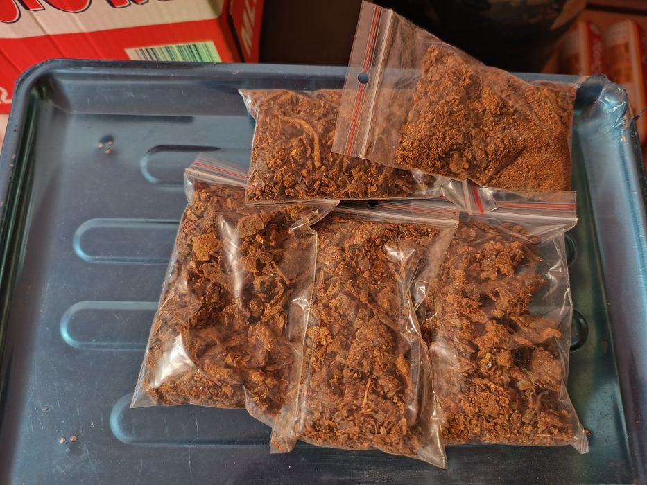 Propolis Kit Pszczeli 2026 Miód z własnej Pasieki Wielokwiatowy Lipowy