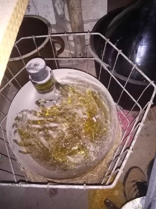 Gąsior na wino duże stan bdb