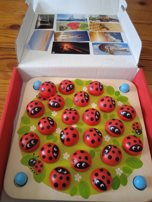 Дитяча дерев'яна гра LADYBUG