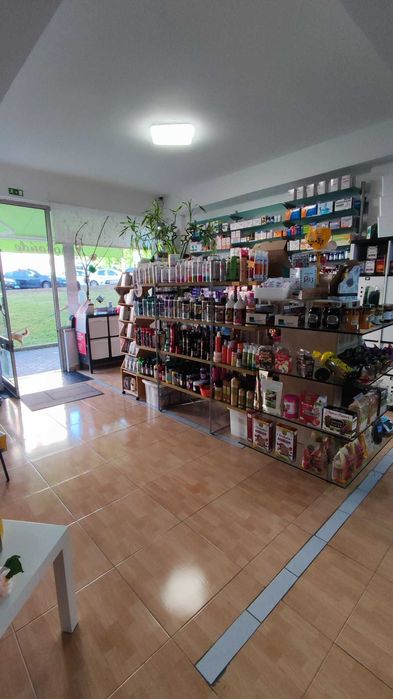 Oportunidade Única: Trespasse de Negócio em Funcionamento