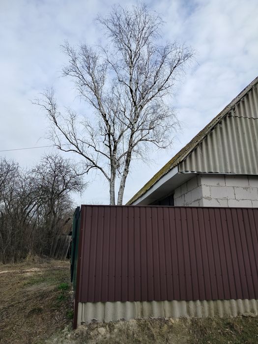 Професійне обрізання аварійних дерев