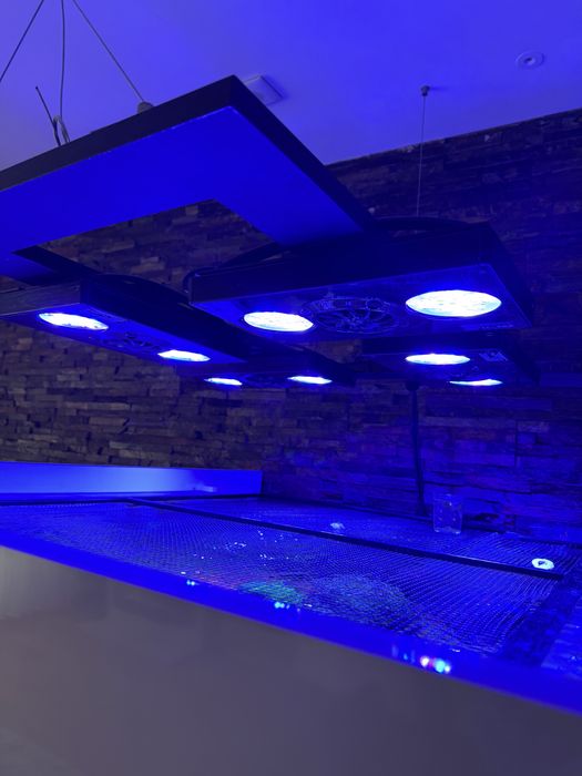 Iluminação aquario ecotech radion gen 3 pro