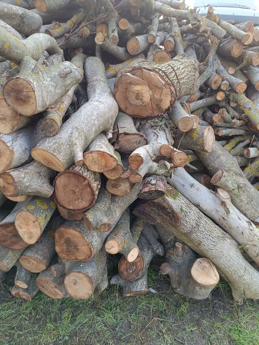 Sprzedam drewno opałowe orzech