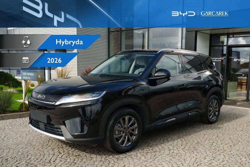 BYD Pozostałe BYD