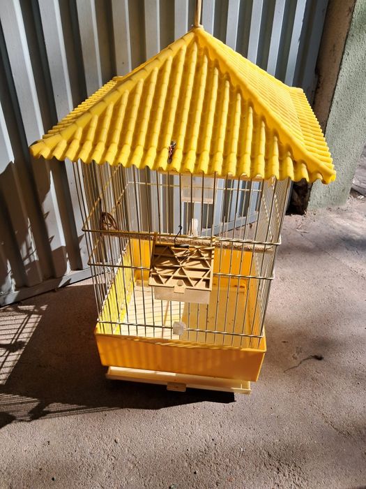 Gaiola amarela pássaros