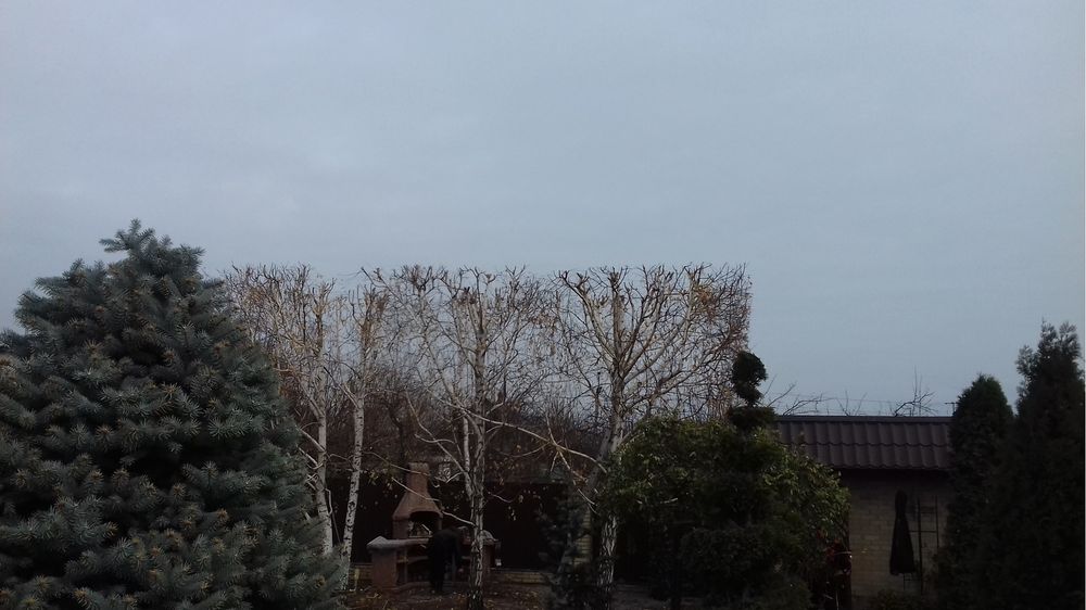 Спил деревьев любой сложности