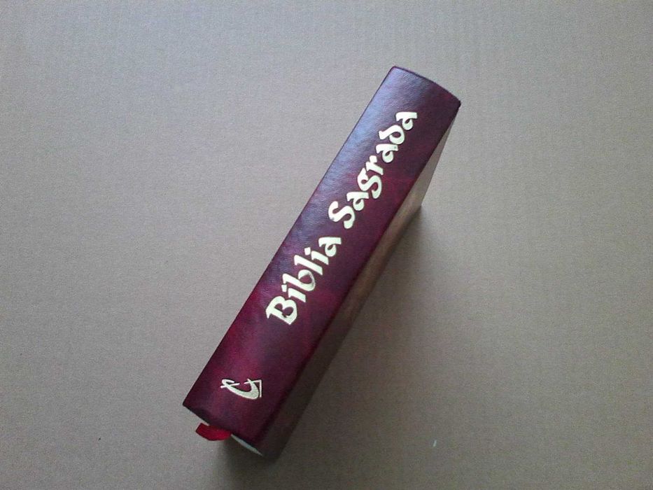 Biblia Sagrada - Paulus