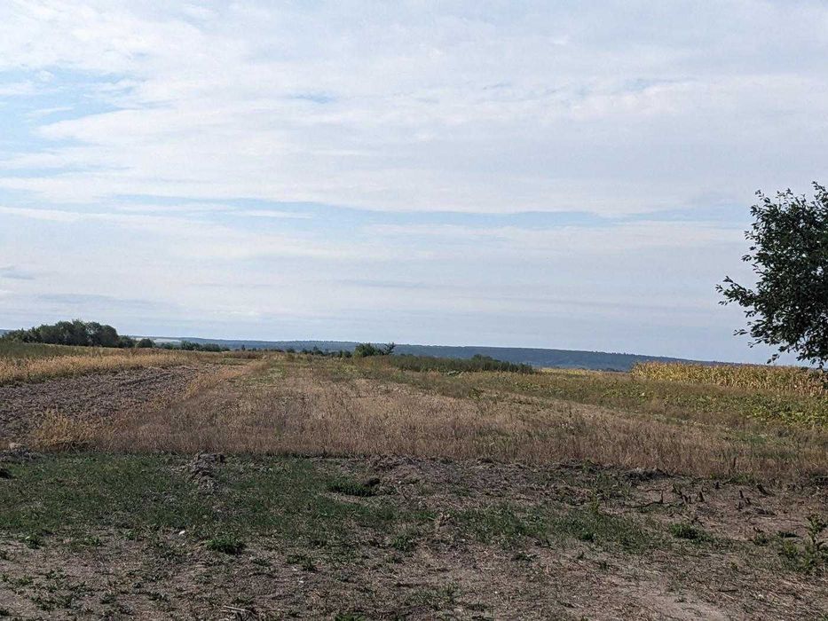 Земельна ділянка під будівництво у с.Радча (13)