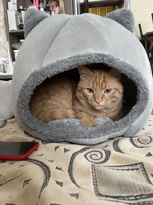 Домик лежанка для кота или маленькой собаки