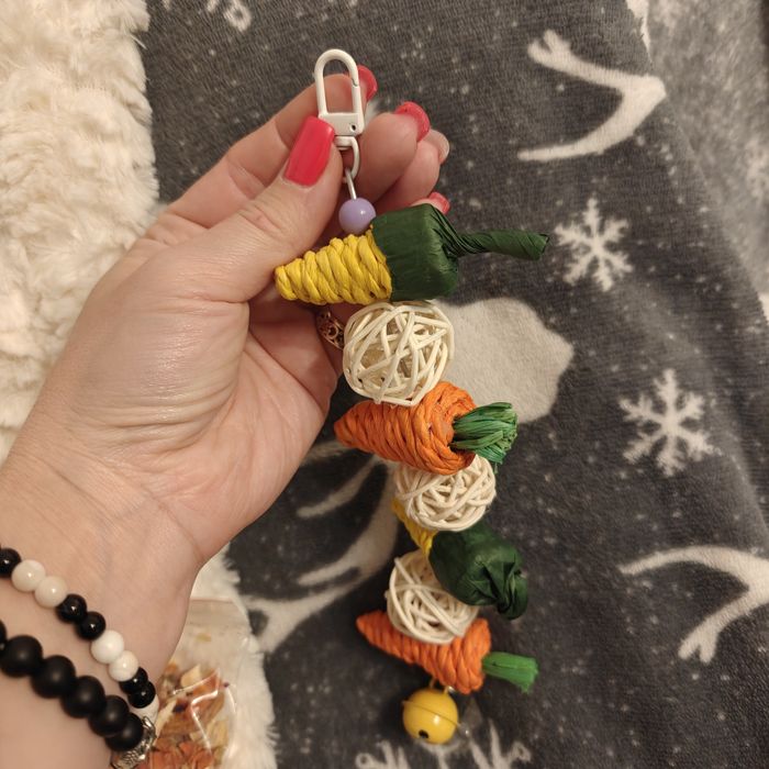 Happy chomik. Zestaw 3