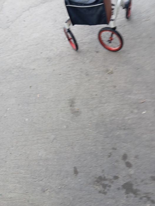 Wózek chodzik balkonik TREXX