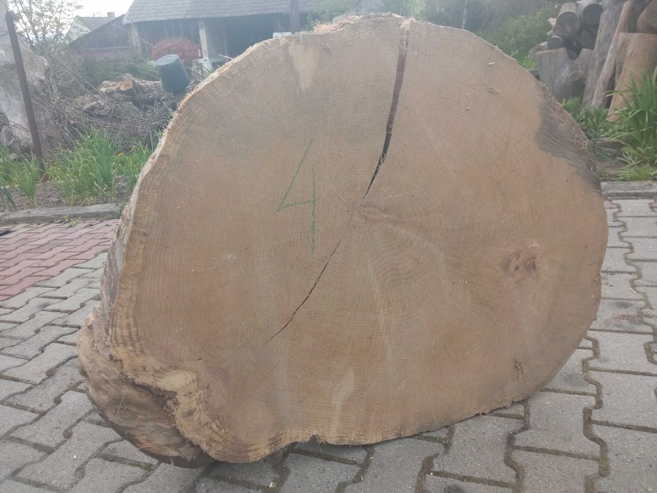 PLASTER drewna BARDZO DUŻY DĄB 102x81x12 cm Suchy Plaster blat