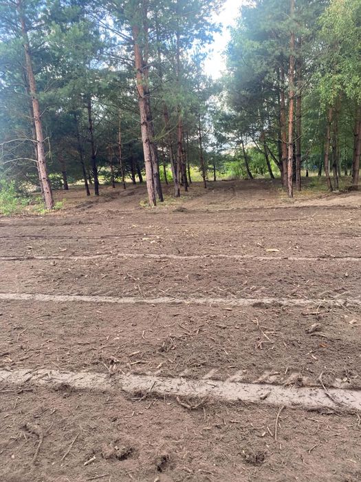 Uslugi mulczerem leśnym , karczowanie