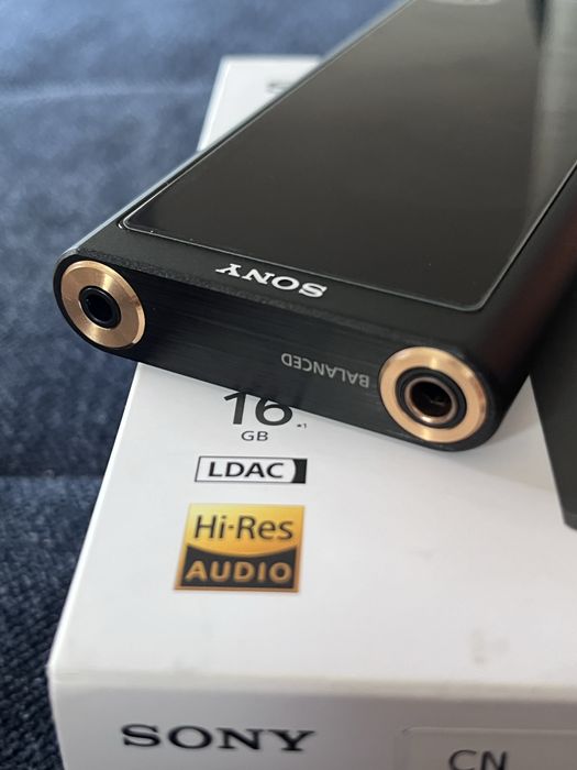 Sony NW-ZX300  -  DAP