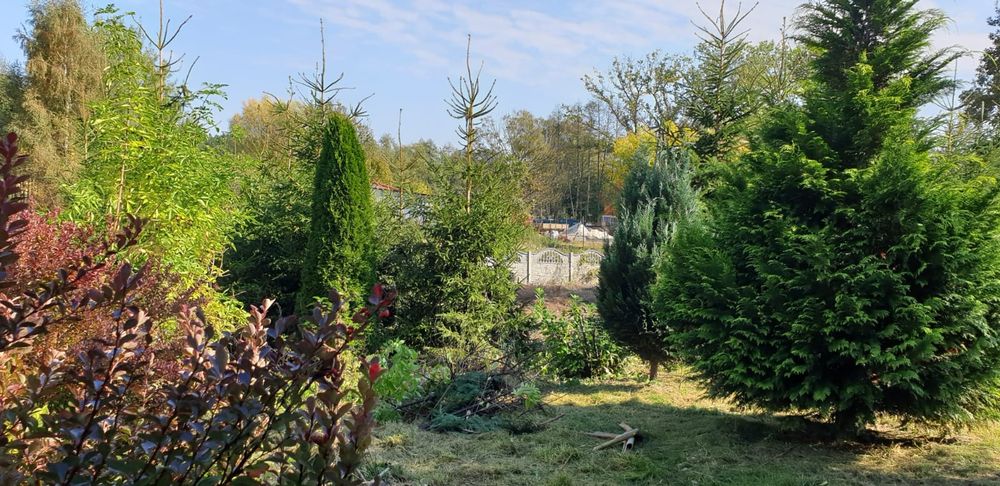 Sprzedam dom 100m czytaj opis