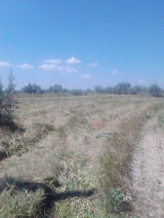 Внимание! Свой берег реки участок 20 соток с.Новосёловка