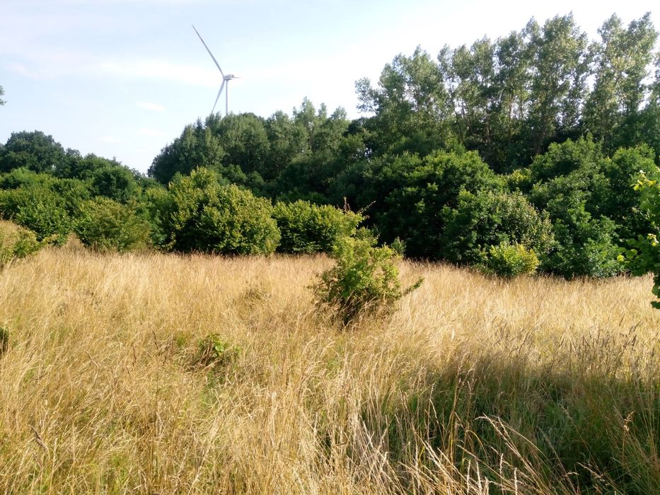 Działka niedaleko Kołobrzegu 313000 m2