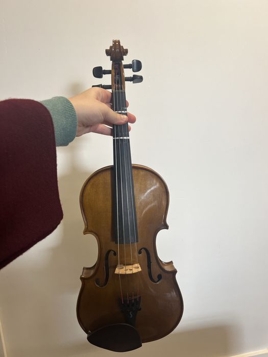 Viola d’arco (14 polegadas)