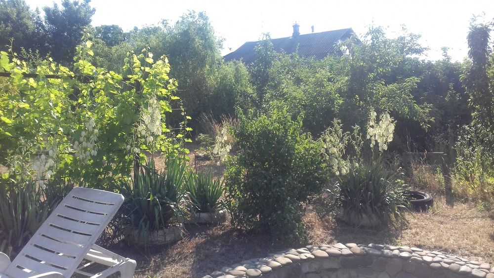 Продається будинок 70 кв.м Димер, Вишгородський р-н, Київс. обл