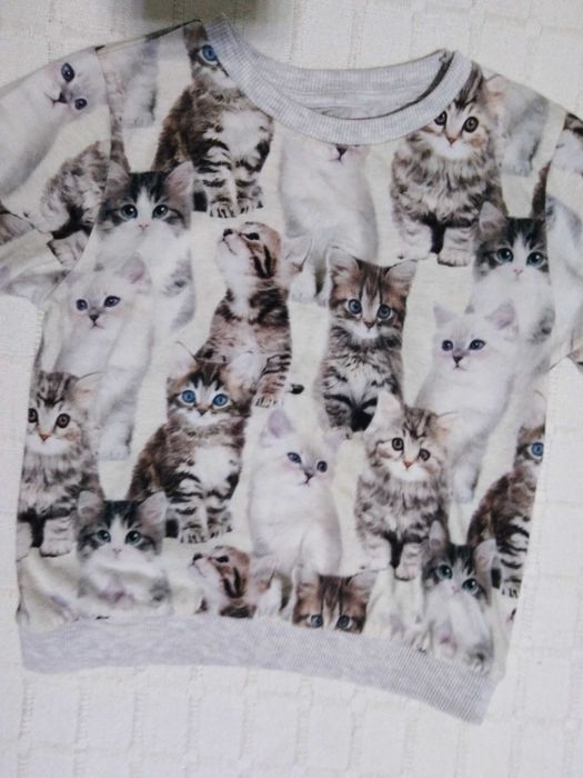 Camisola H&M "Gatinhos" (Ler Descrição)