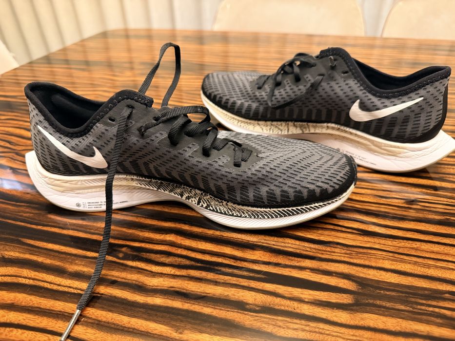 Nike Pegasus Turbo 2