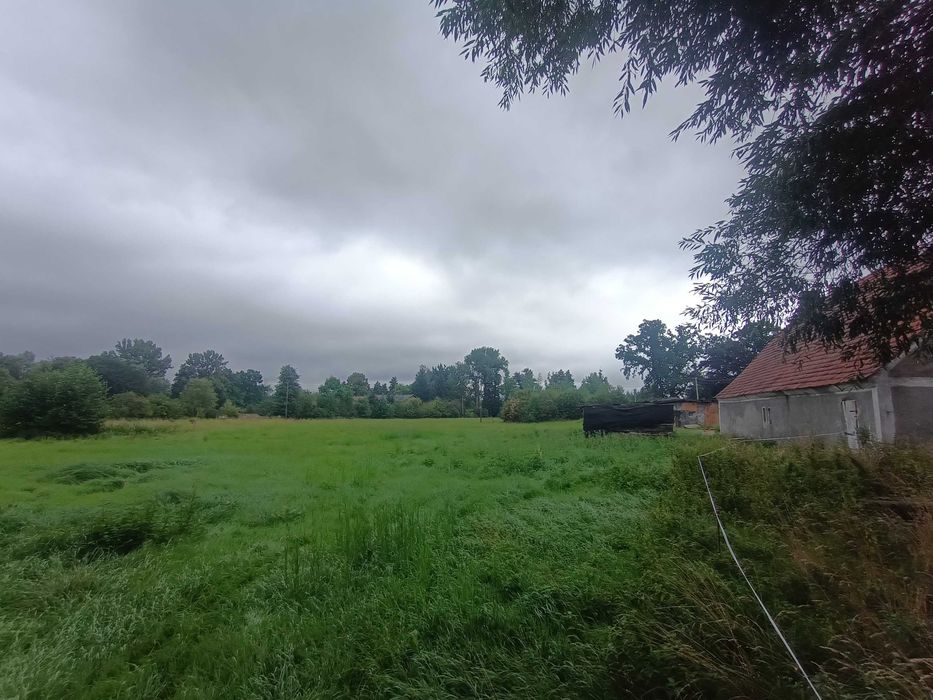 Dom – Popęszyce, powiat nowosolski - Więcej