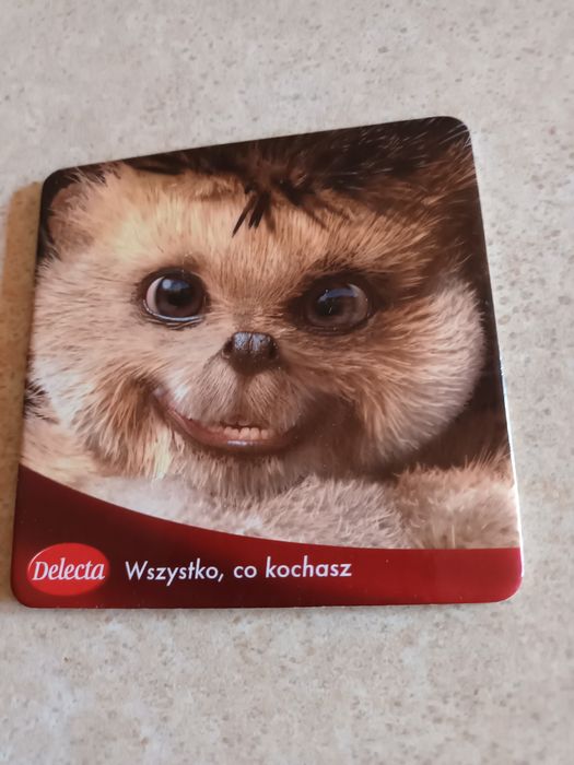 Podkładki z korka Jeżyki