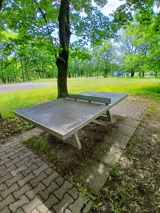 Domki domek letniskowy Pietrowice wynajem