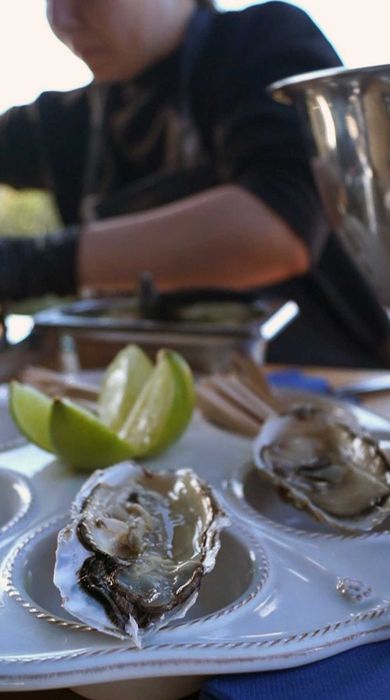Ostras Frescas para Eventos e Restauração